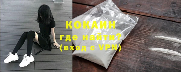 дмт Гусь-Хрустальный