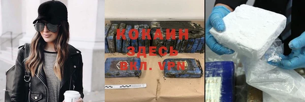 альфа пвп Гусев