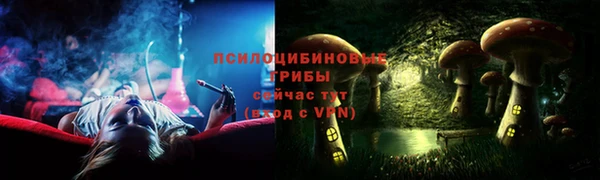 альфа пвп Гусев
