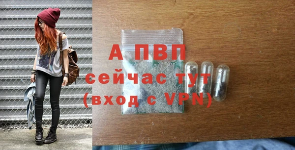 альфа пвп Гусев