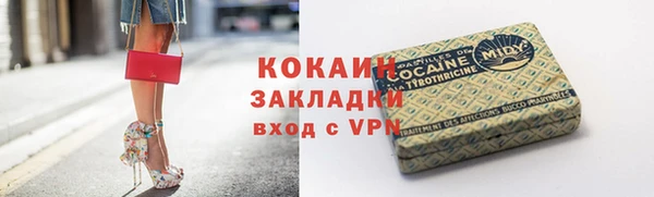 альфа пвп Гусев