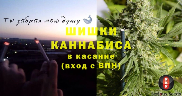 альфа пвп Гусев