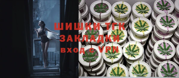 дмт Гусь-Хрустальный