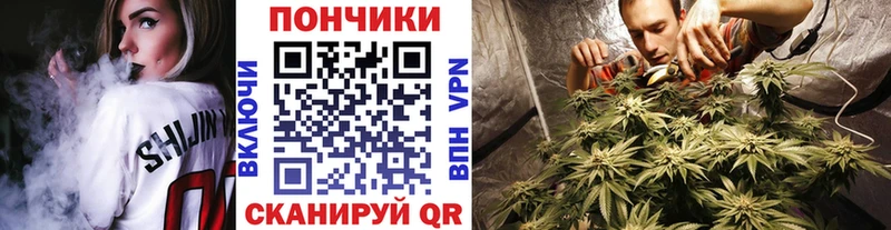 Бошки Шишки сатива Нязепетровск